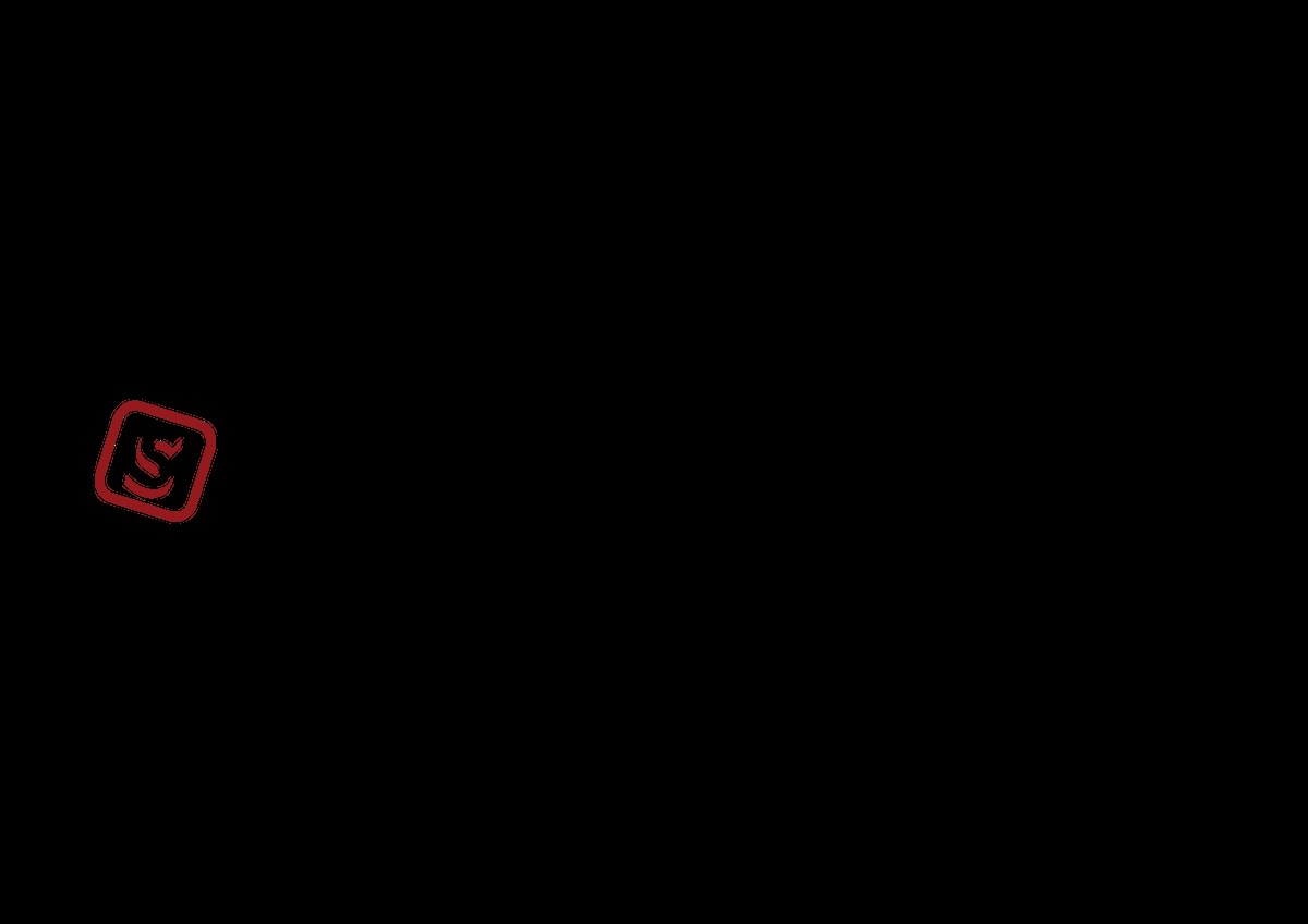 STEK Automotive official logo, red outline shield emblem, used to verify Imagine Graffix as an authorized STEK installer in Pretoria